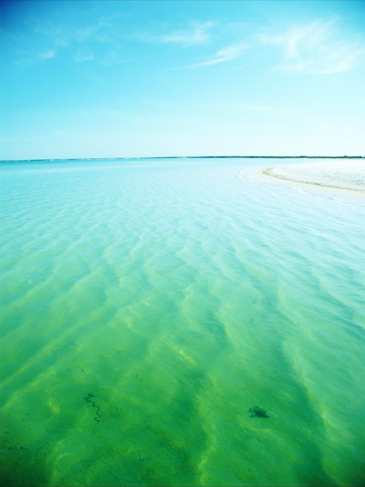 Clear turquoise shallow water over a bright white sand bar in Tampa Bay